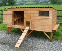 rushton pet poultry chickens