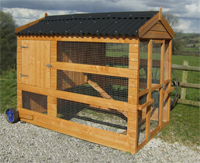 rushton pet poultry chickens