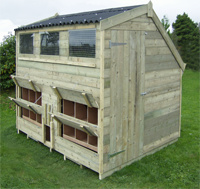 rushton pet poultry chickens
